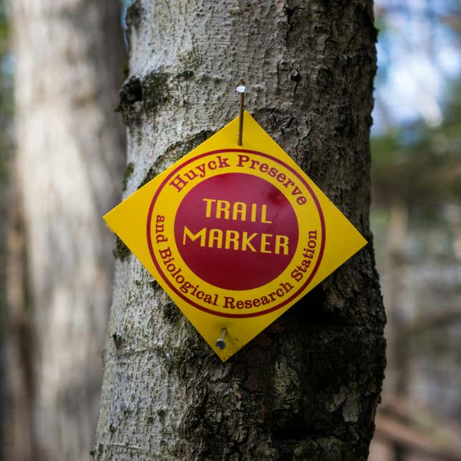 Image for article titled The 7 best jobs for going off the grid