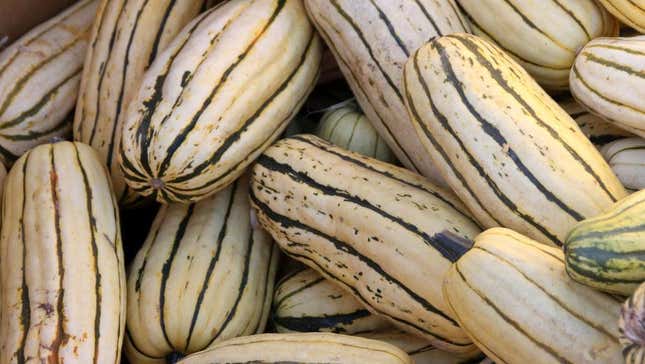 delicata squash