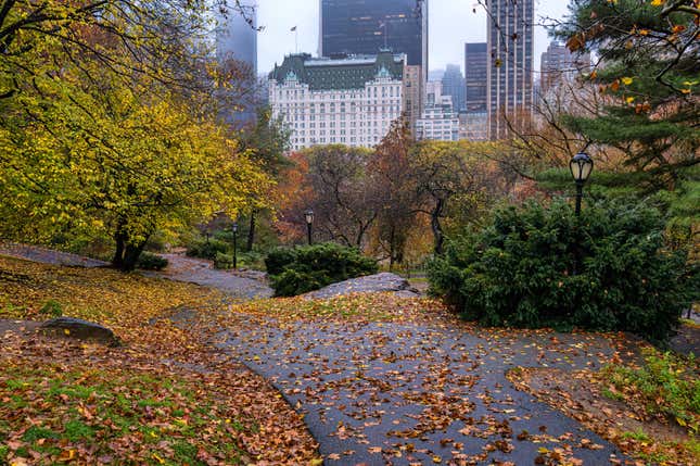 Image for article titled 5 cities that have the most green space in the world