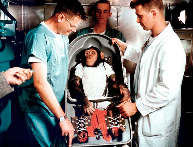 Ham the juvenile chimp with trainers at Cape Canaveral, Florida, on January 31, 1961.