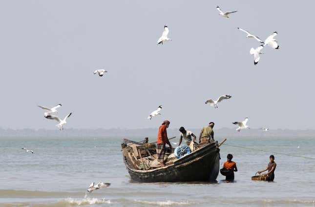 India-Sundarbans