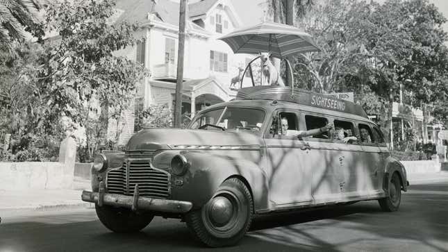 A black and white photo of a dog riding on the roof of a car. 