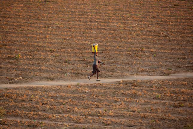 FILE - A woman walks along a path in a deserted field in Zvimba, rural Zimbabwe, on June, 26, 2021. Women who run farms and rural households in poor countries suffer more from climate change and are discriminated against as they try to adapt to other sources of income in times of crises, the United Nations warned Tuesday, March 5, 2024. A new report by the Food and Agriculture Organization, “The Unjust Climate,” found that female-headed rural households lose on average 8% more of their income during heat waves and 3% more during floods, compared to male-headed households. (AP Photo/Tsvangirayi Mukwazhi, File)