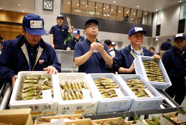Auctioneers take part in a wasabi auction.