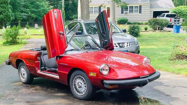 Nice Price or No Dice 1979 Alfa Romeo Spider Veloce