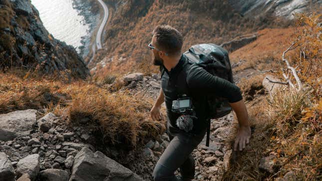 Image for article titled The 7 best jobs for going off the grid