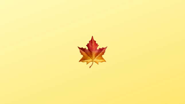 An emoji of a maple leaf is shown.