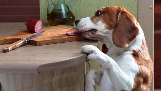 Image for article titled 10 Relationships Ruined by Food, According to Reddit