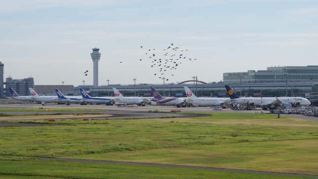 Image for article titled These Are the 25 Best International Airports in the World