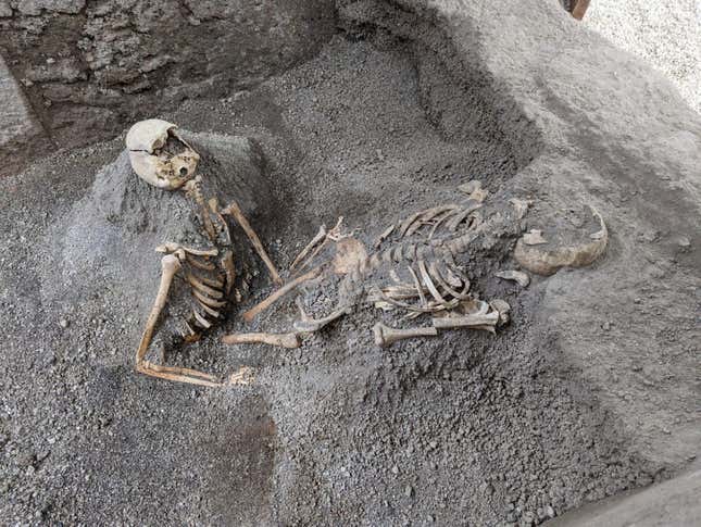 Remains of two individuals found during the recent excavations.