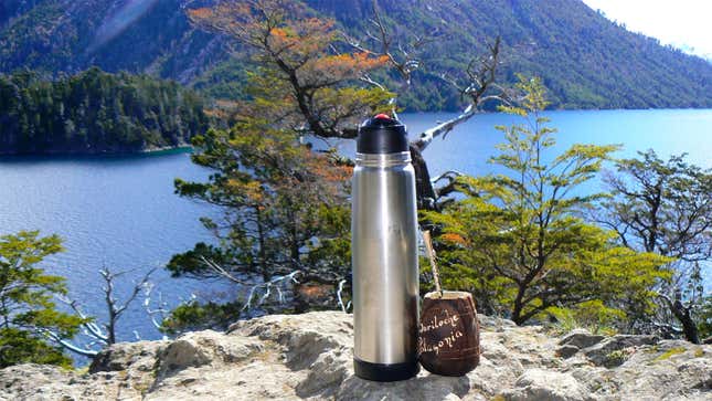 A photo of a thermos flask on a hill overlooking a lake. 