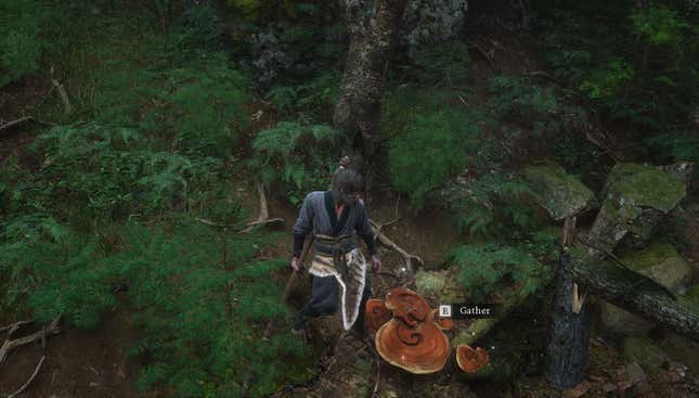 Yum, a delicious-looking and definitely not deadly giant toadstool.