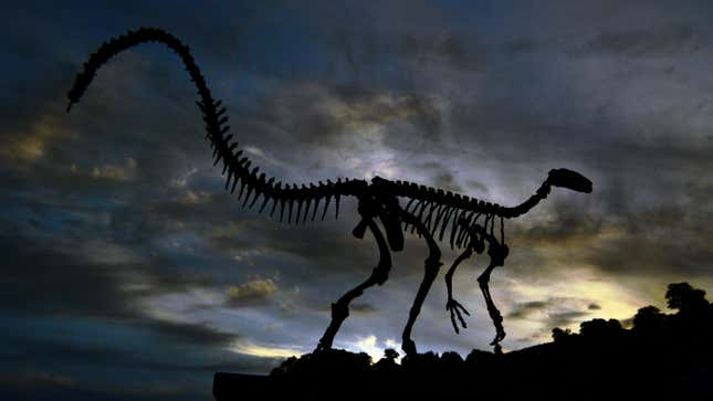 The fossilized skeleton of a dinosaur outside a Brazilian research center.