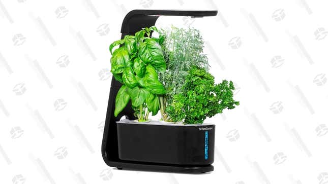 AeroGarden Sprout | $70 | Best Buy