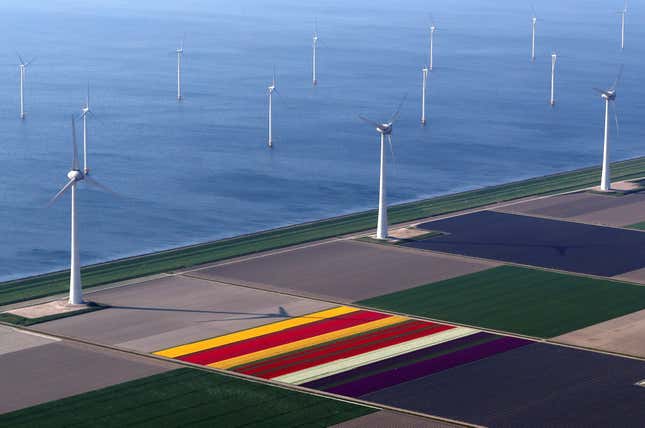 Image for article titled The soothing, hypnotic colors of tulip season, seen from above