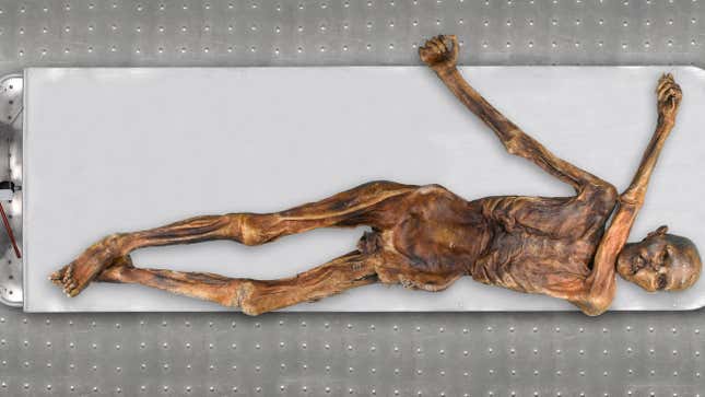 The 5,300-year-old remains of "Ötzi the Iceman."