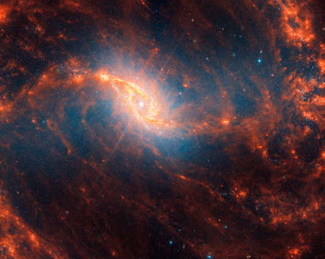 Image for article titled See Webb Telescope's 'Mind-Blowing' Collection of Spiral Galaxy Images