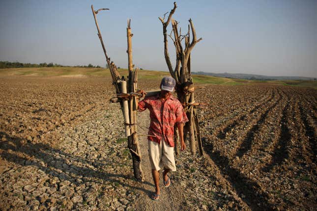 A villager walks through a field affected by drought on August 4, 2009 in Lamongan, near Surabaya, East Java, Indonesia. 