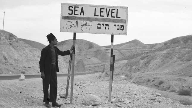 A photo of someone stood next to a "sea level" sign by the side of the road. 