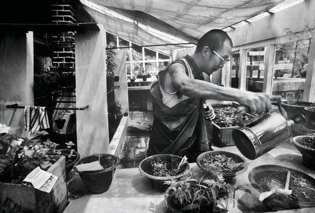 The 14th Dalai Lama was the first Nobel Laureate to be cited for his environmental advocacy.