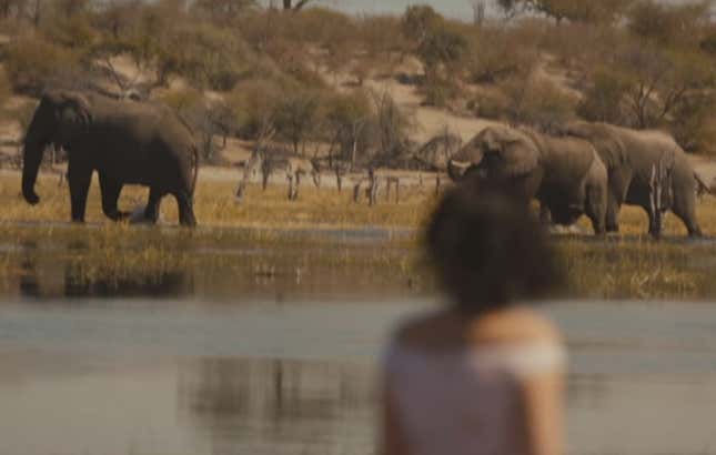 Image for article titled There are very few black people in Taylor Swift’s wild Africa dreams