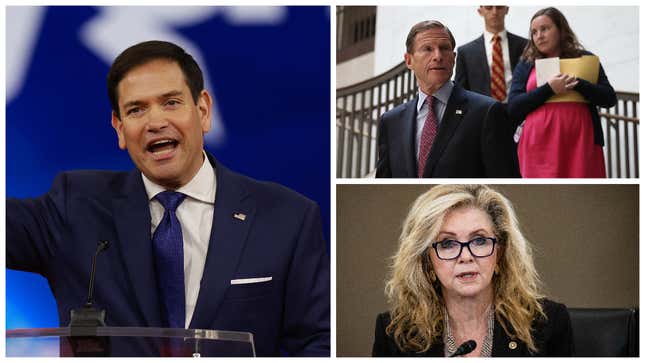 Image for article titled Senators Think TikTok's CEO Lied to Congress