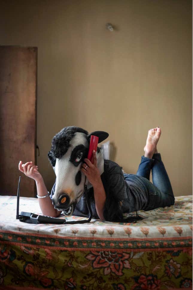 Image for article titled A striking photo project asks why India is better at protecting its cows than its women