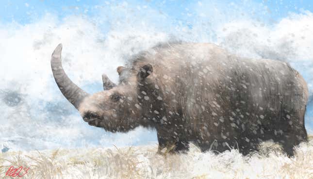 A paleoart illustration of a woolly rhinoceros.