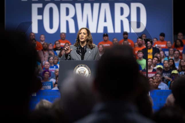 Vice President and Democratic presidential nominee Kamala Harris speaks at a rally on September 20, 2024, in Madison, Wisconsin. 