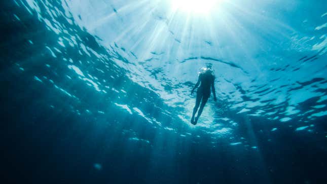 Swimming into the Unknown with Author Bonnie Tsui