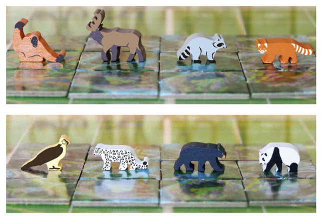 How Zoo Tycoon Became a Fully-Licensed Xbox Board Game - Xbox Wire