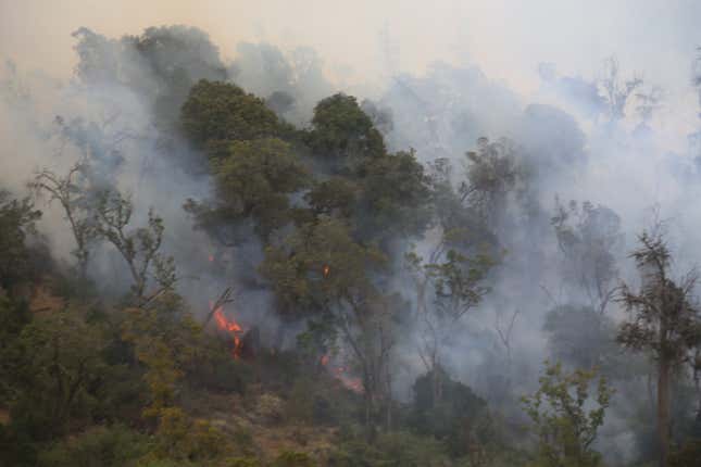 Mount Kenya park fire still raging, moves towards Aberdare