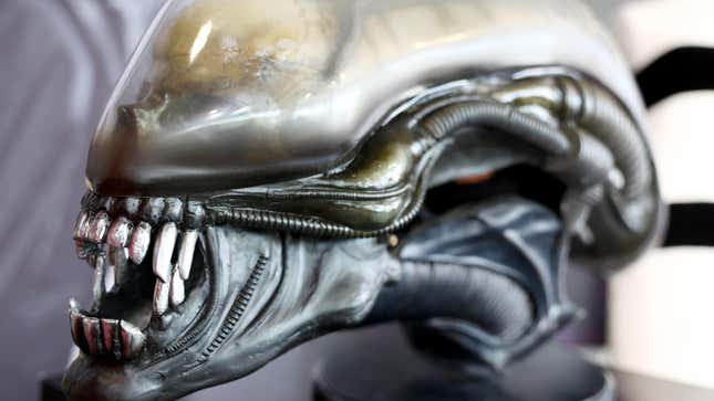 Ein xenomorpher Kreaturenkopf, der 1979 in „Alien“ verwendet wurde