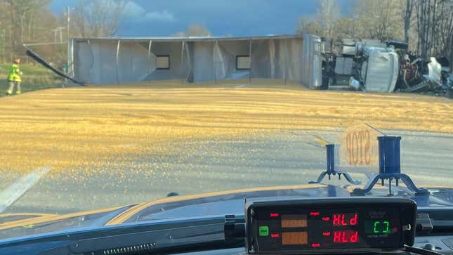 The truck that crashed on its side with corn spread all over the road