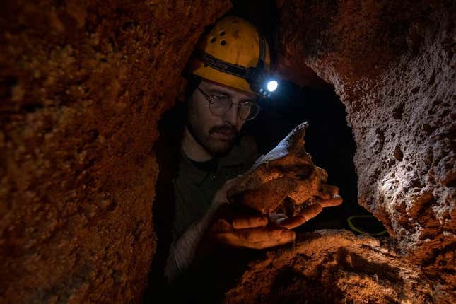 Tim Ziegler Nightshade Mağarasından fosil kemikleri alıyor.