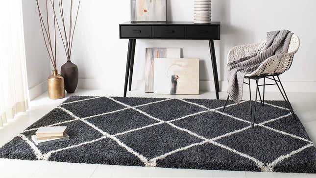 The shag rug sprawled out across the floor of a lovely room.