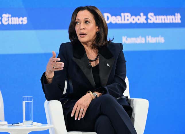 NEW YORK, NEW YORK - NOVEMBER 29: Vice President Kamala Harris speaks onstage during The New York Times Dealbook Summit 2023 at Jazz at Lincoln Center on November 29, 2023 in New York City.