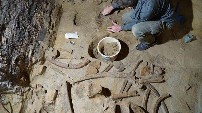 An ÖAI archaeologist at work in the wine cellar.