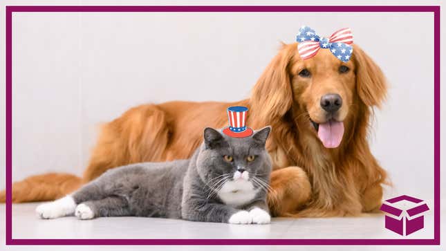 Image for article titled How to Keep Your Furry Friend Calm During Fireworks on 4th of July