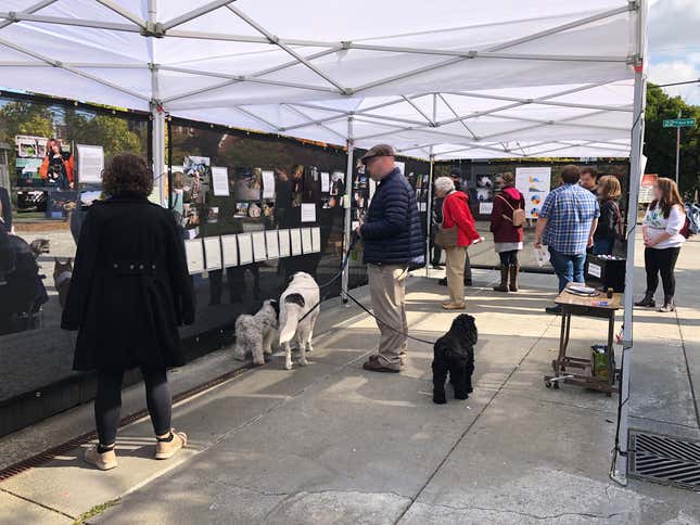 One of the four pop-up exhibits detailing the project held by the researchers in the fall of 2019.