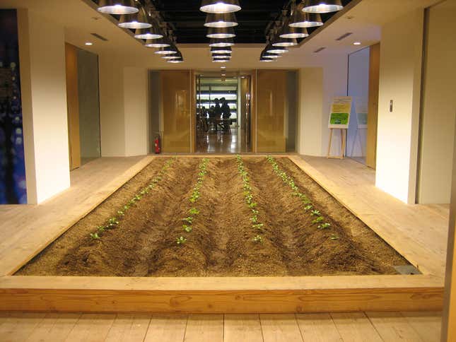 Designers hope the building will bring workers back to their agricultural roots