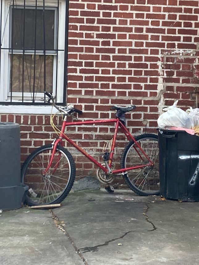 The bike, forlorn, waiting by the trash. Even at this moment, I knew that maybe someone wanted to hold on to it.