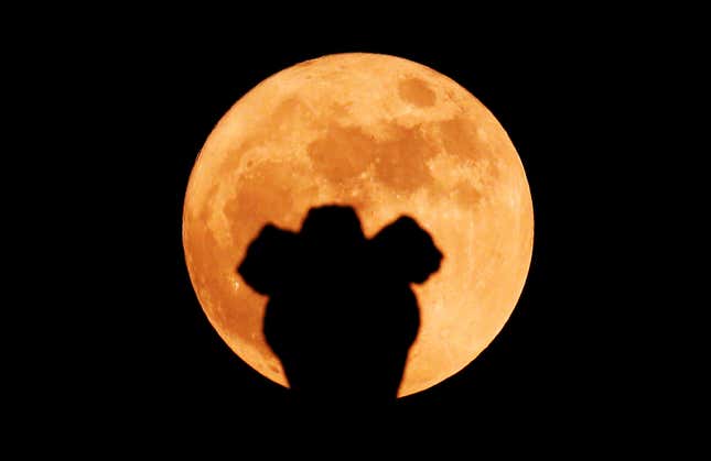 India’s national emblem is seen in front of the supermoon in New Delhi.