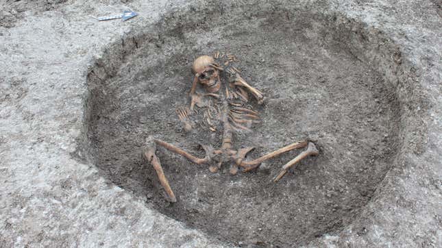 A female skeleton with bound hands and removed feet, found by a British water utility company in 2019.