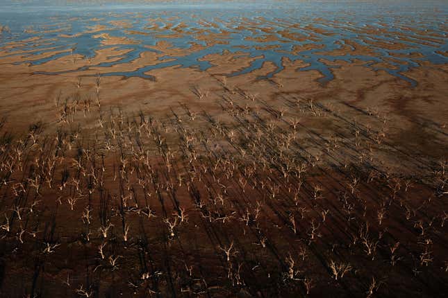 Image for article titled Photos: Aerial shots showcase Australia’s brutal drought
