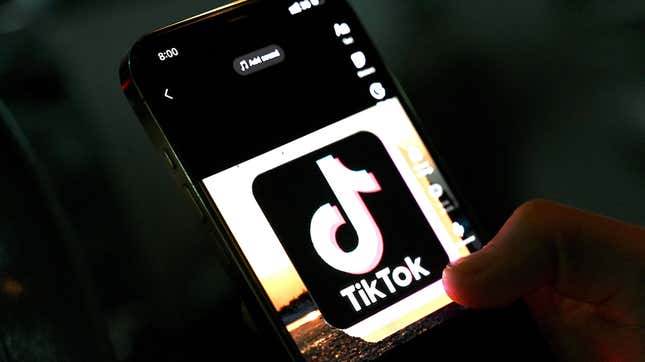 Image for article titled Who to Trust (and Not Trust) on Food TikTok