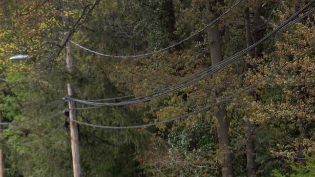 Powerlines in Hartford, Connecticut