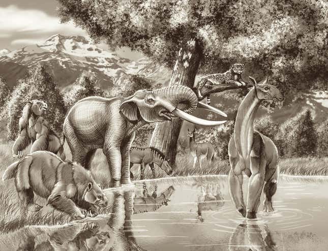 Artist’s conception of a lagoon in Chile during the late Pleistocene. Notiomastodon is pictured near two giant ground sloths (left), the equine Hippidion saldiasi (center left), an ancient llama relative (center right), a jaguar, and Macrauchenia patachonica (right), a three-toed herbivore.