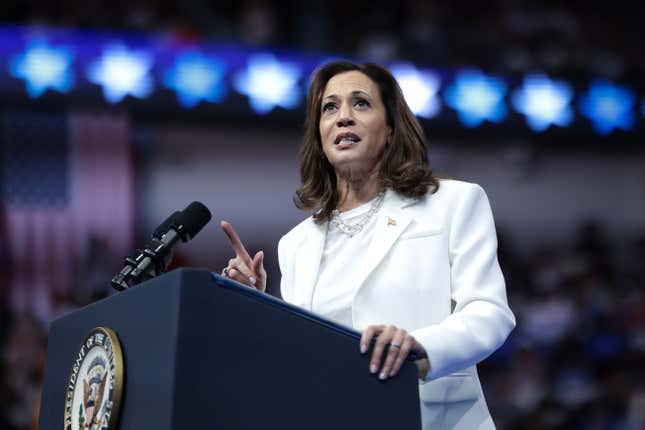 SAVANNAH, GEORGIA – 29. AUGUST: Die demokratische Präsidentschaftskandidatin und US-Vizepräsidentin Kamala Harris spricht bei einer Wahlkampfkundgebung in der Enmarket Arena am 29. August 2024 in Savannah, Georgia. 