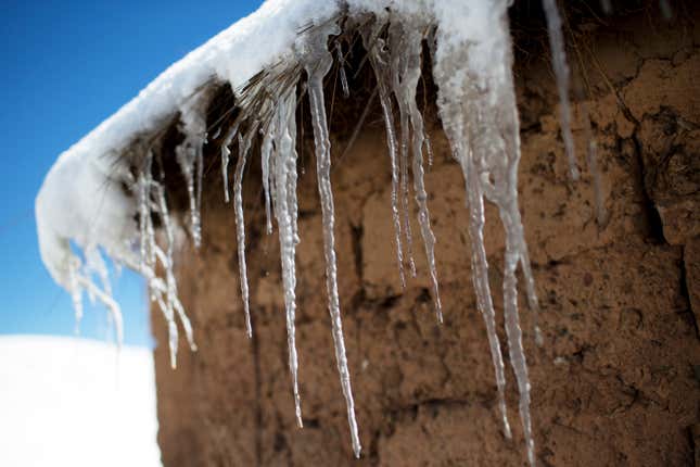 Every winter freeze destroys the tough grasslands the animals feed on and almost no crops can survive in the nutrient-poor soil. (AP/Rodrigo Abd)
